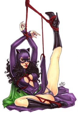 Comics - Catwoman