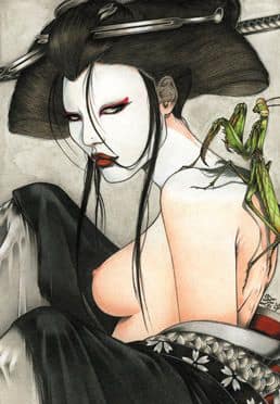 Giclée Prints - Geisha Mantis